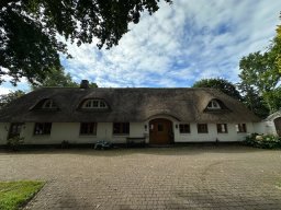 IMG_0196